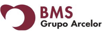 bms-grupo-arcelor-2-cliente-aguiar-assessoria-da-qualidade